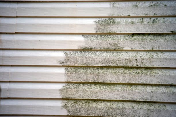 Affordable Siding Repair and Maintenance Services in Endicott, NY